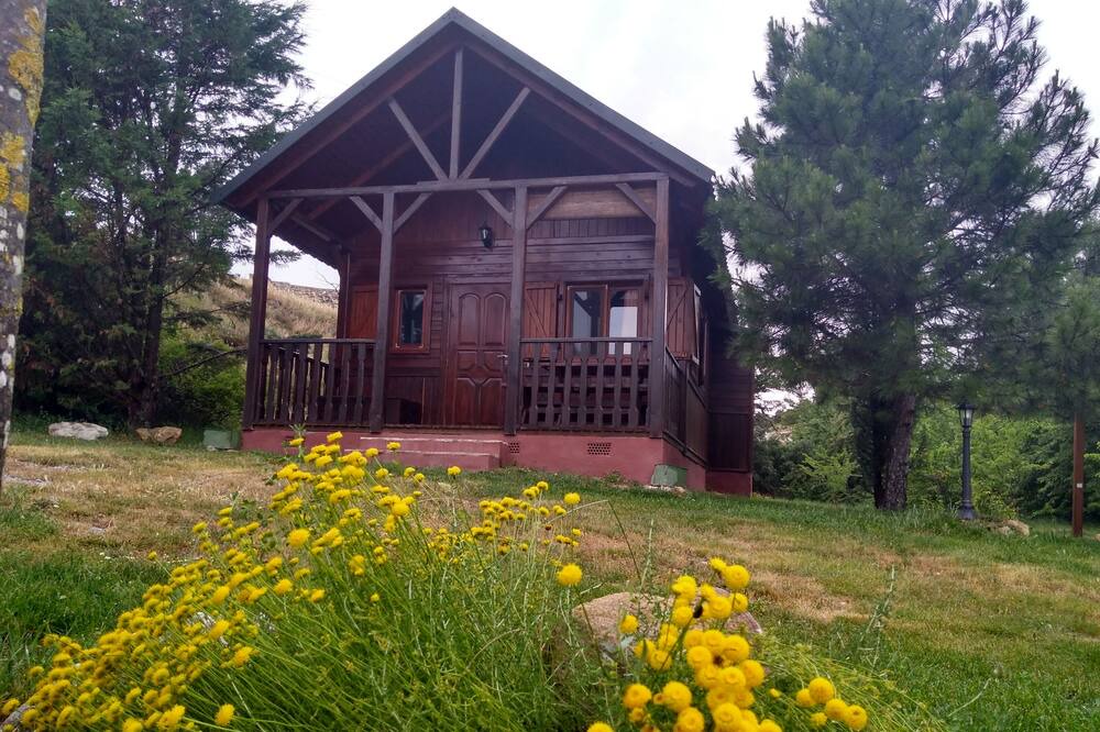 Photo of Outdoor in Villahermosa del Rio