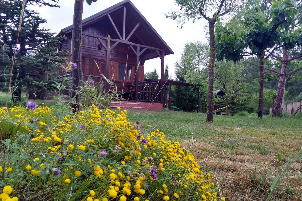 Photo of Outdoor in Villahermosa del Rio