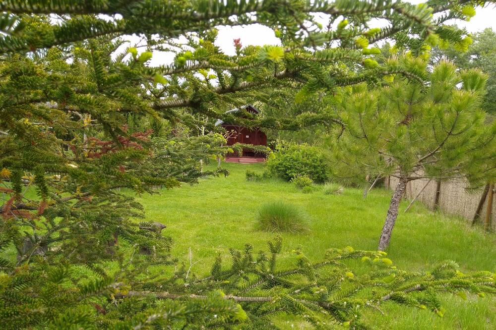 Photo of Outdoor in Villahermosa del Rio