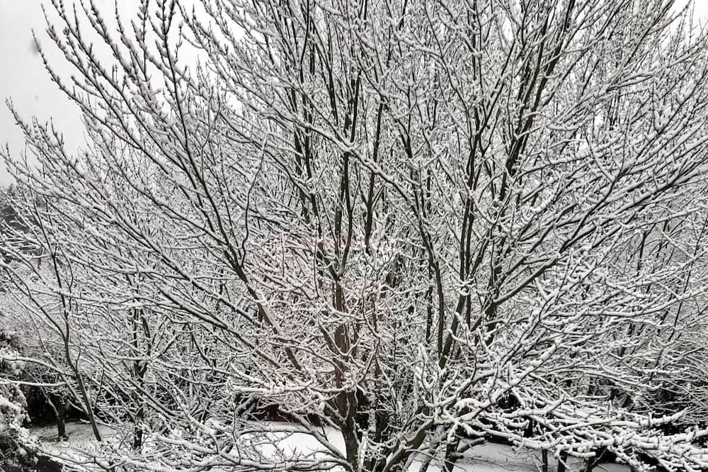 Photo of Outdoor in Tingwick
