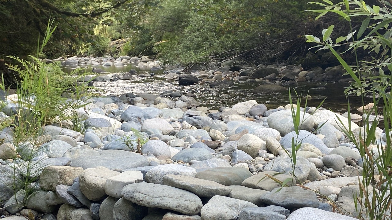 Photo of Outdoor in Issaquah