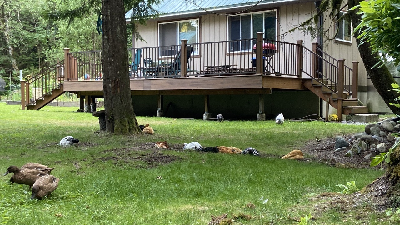 Photo of Outdoor in Issaquah