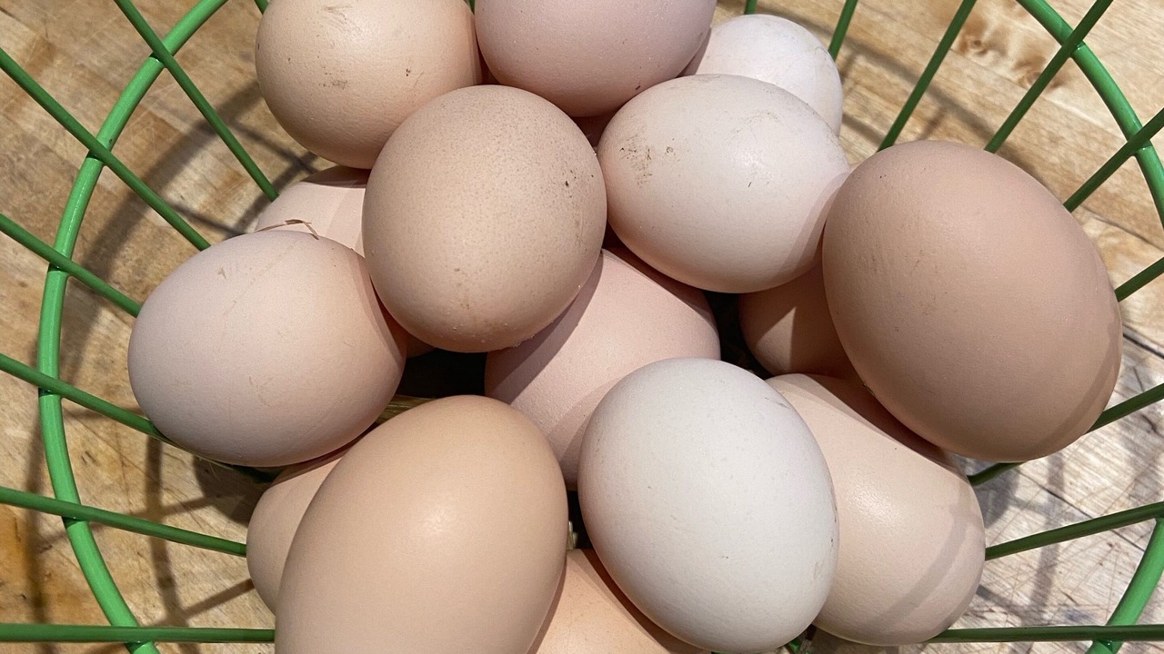 Photo of Others in Issaquah