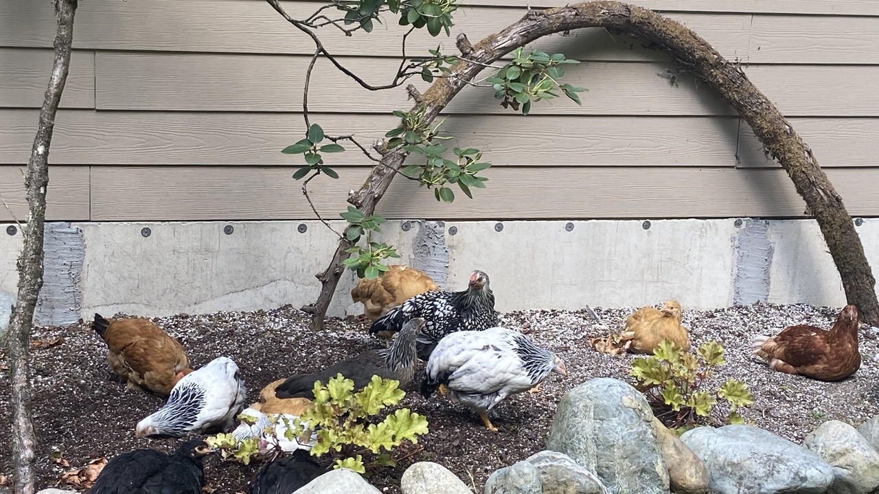 Photo of Outdoor in Issaquah