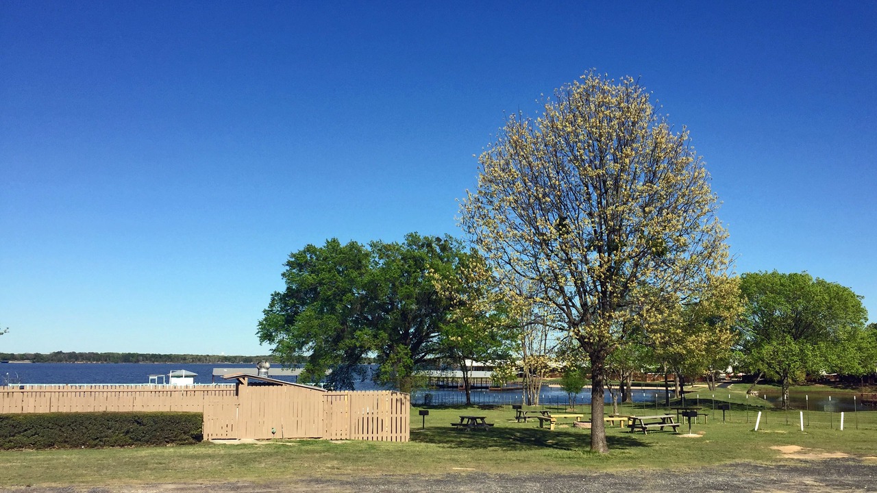 Photo of Outdoor in Alba