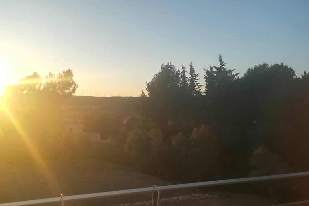 Photo of Others in Sigean
