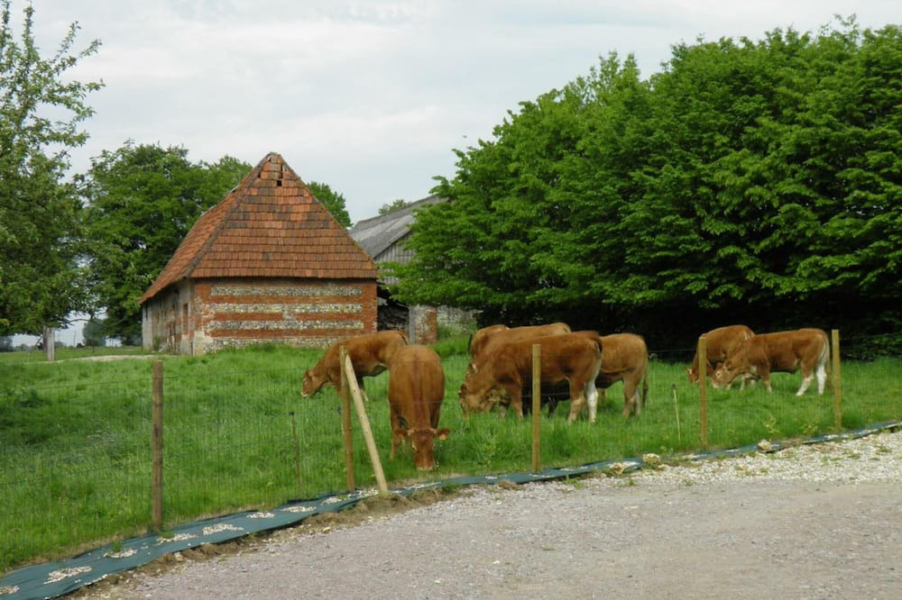 Photo of Outdoor in Val-de-Saane