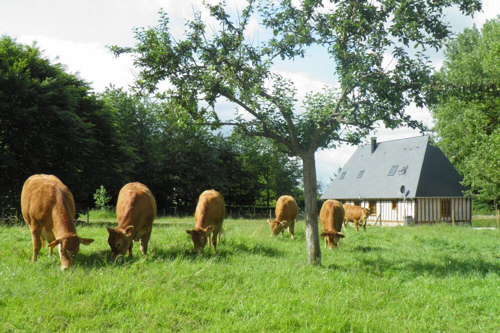 Photo of Outdoor in Val-de-Saane