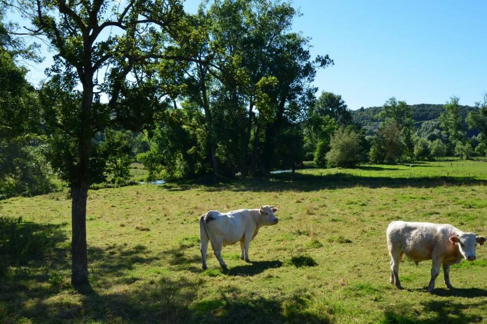 Photo of Outdoor in Muchedent