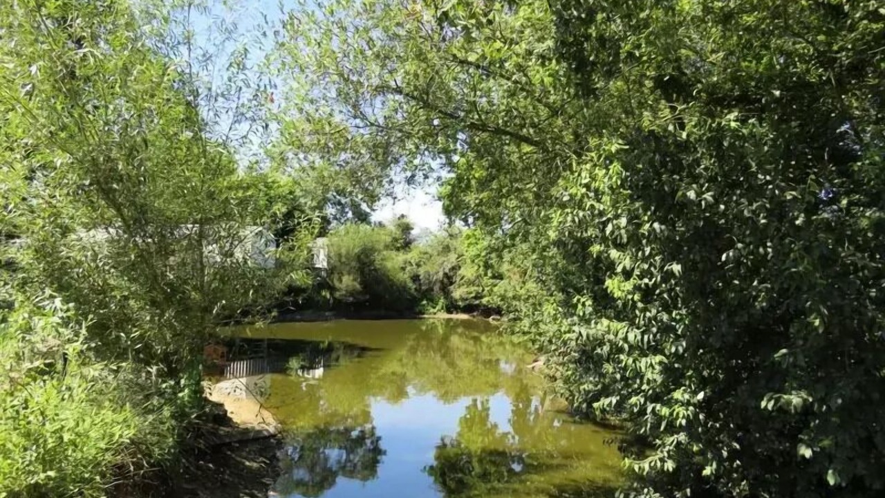 Photo of Outdoor in Sallertaine