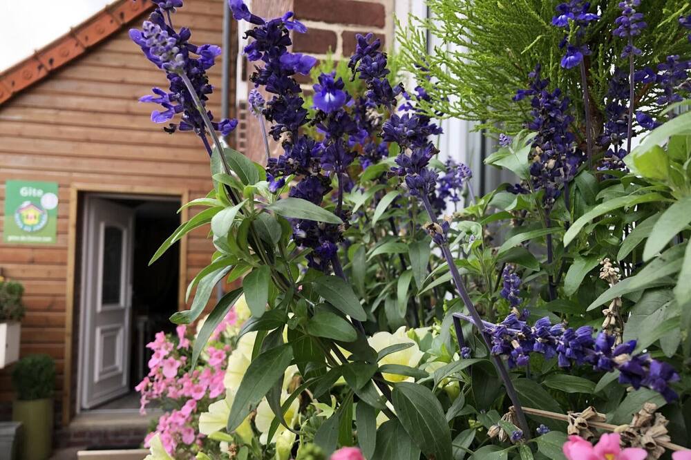 Photo of Outdoor in Eu