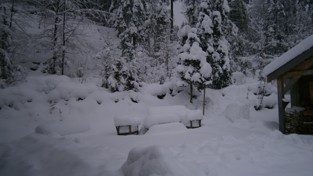 Photo of Others in Premanon