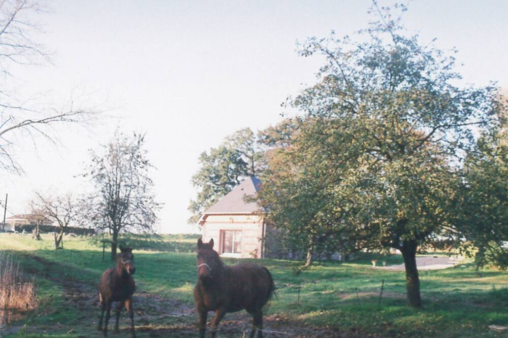 Photo of Outdoor in Criquetot-lʼEsneval
