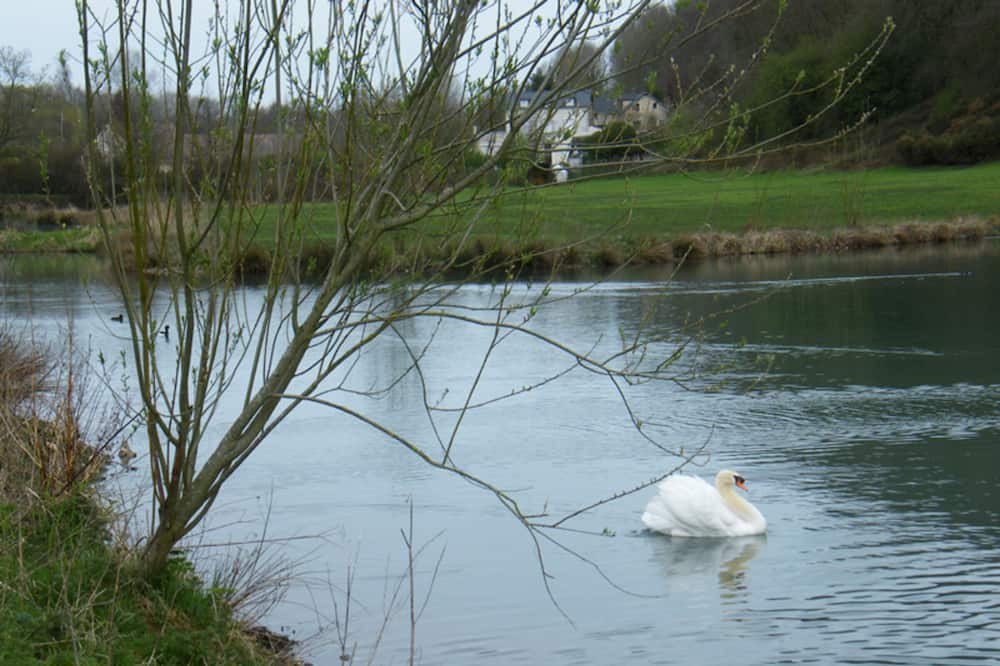 Photo of Outdoor in Rolleville