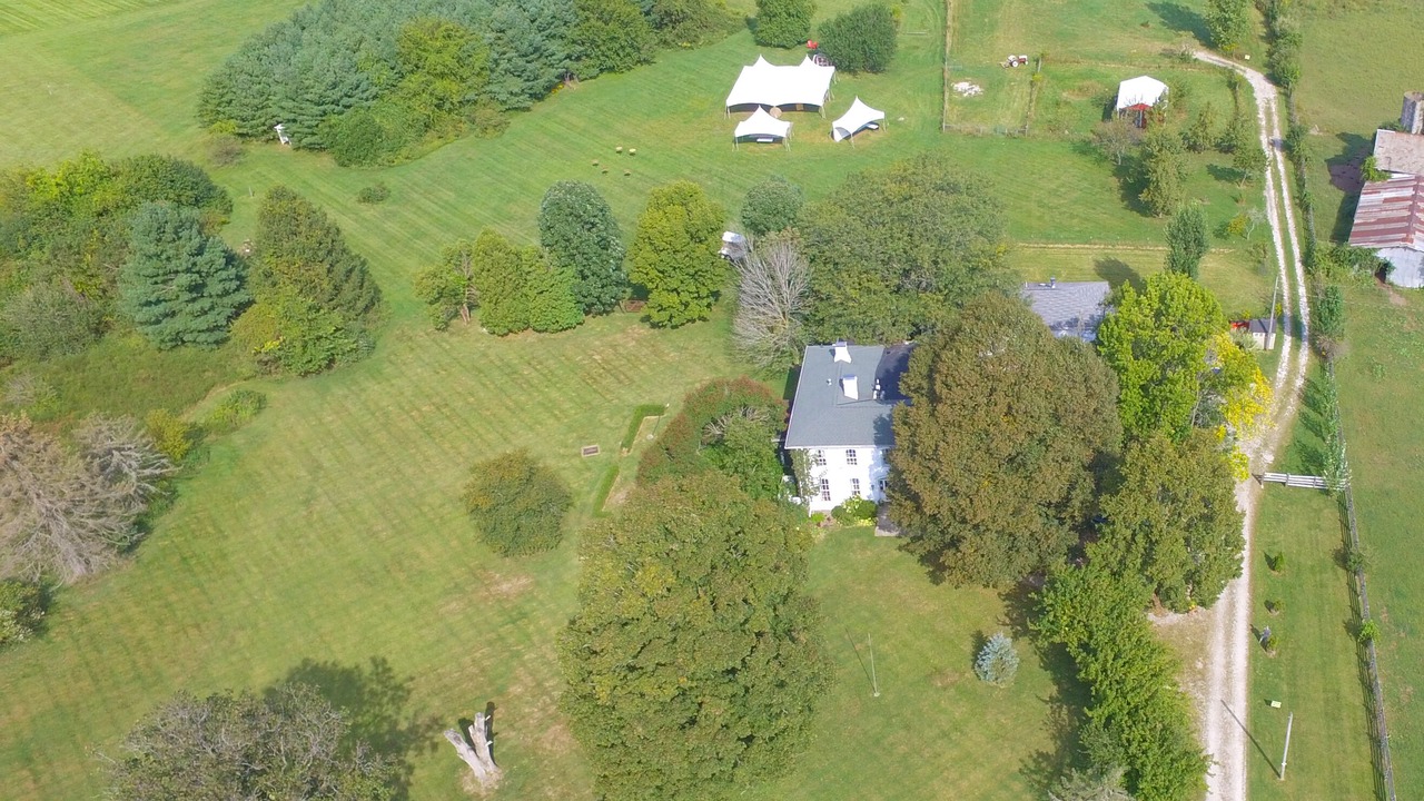 Photo of Others in Granville South