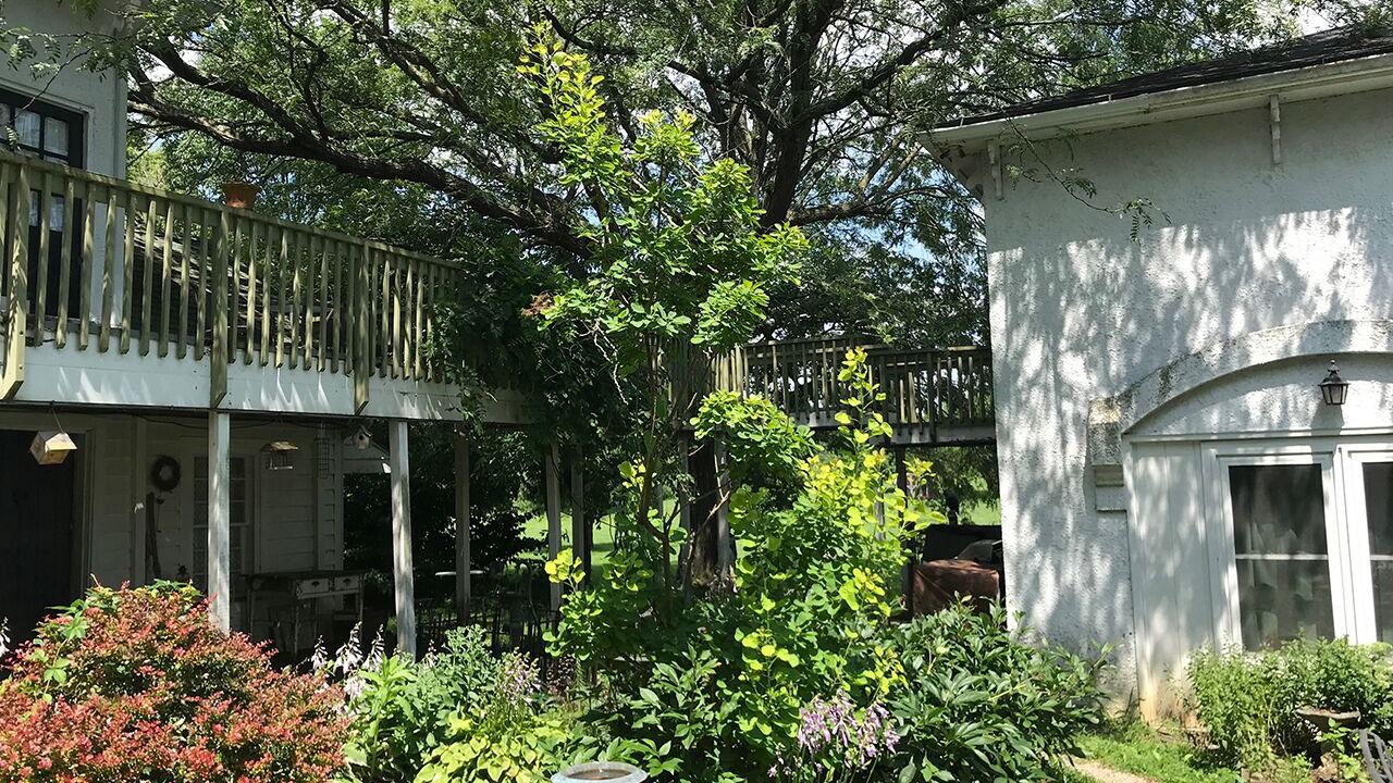 Photo of Outdoor in Granville South