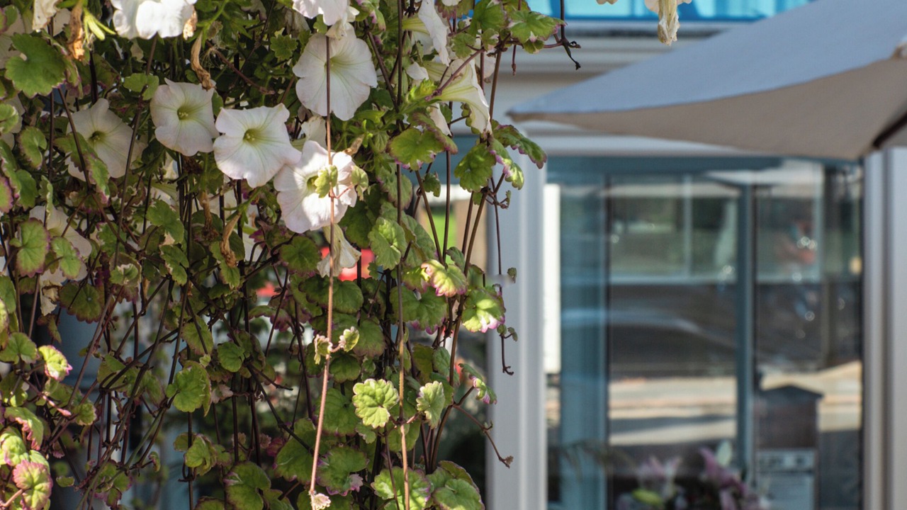 Photo of Patio Balcony in Northampton