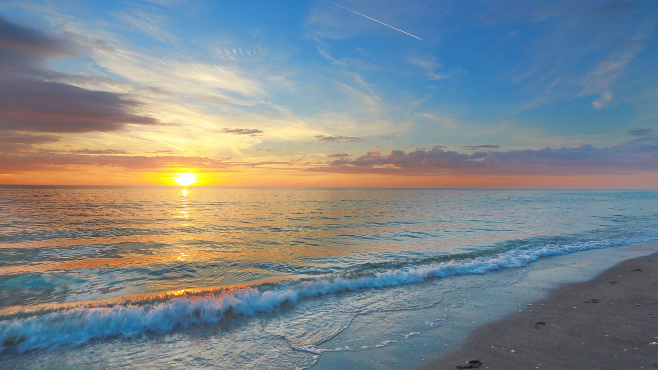 Photo of Others in Bradenton Beach