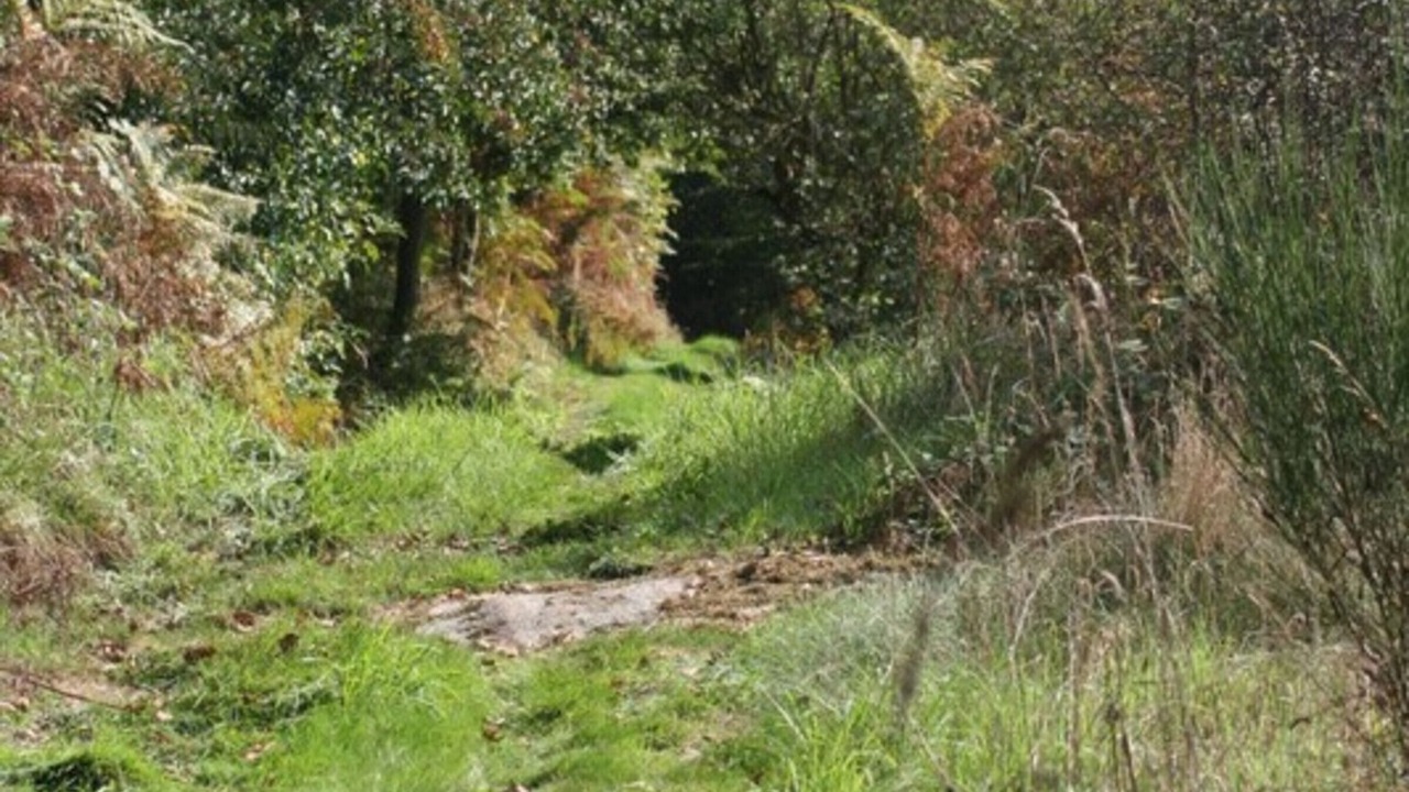 Photo of Outdoor in Saint-Romain-d'Urfe