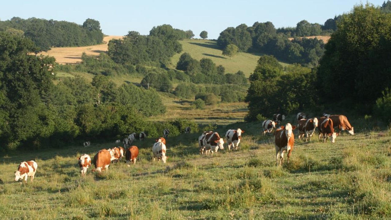 Photo of Outdoor in Saint-Romain-d'Urfe