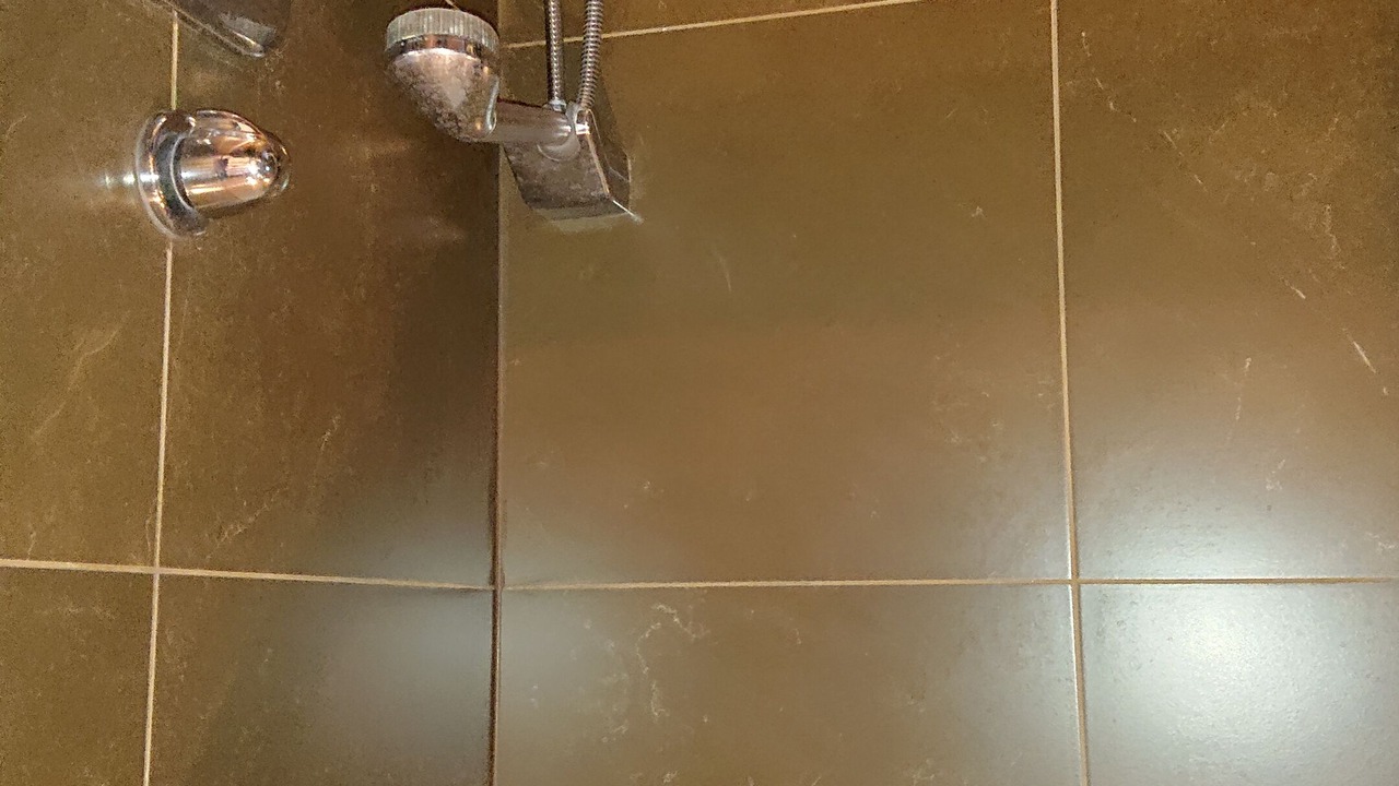 Photo of Others in Montfort-l'Amaury