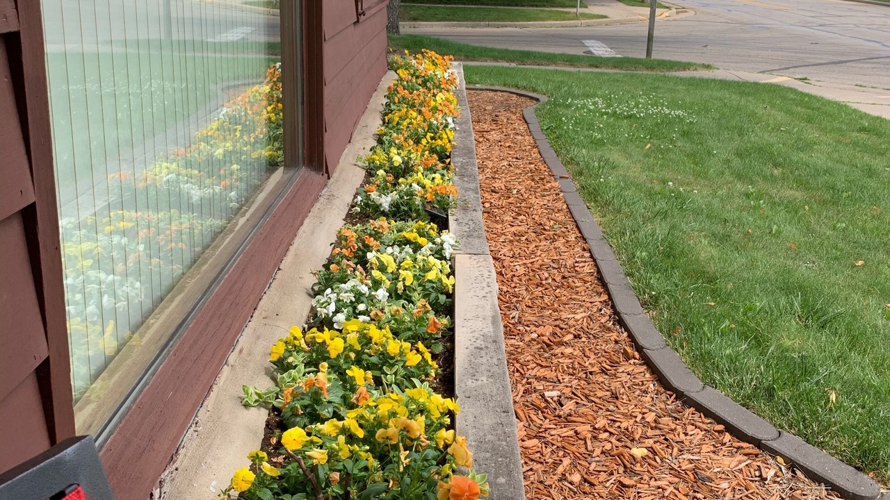 Photo of Outdoor in Monroe