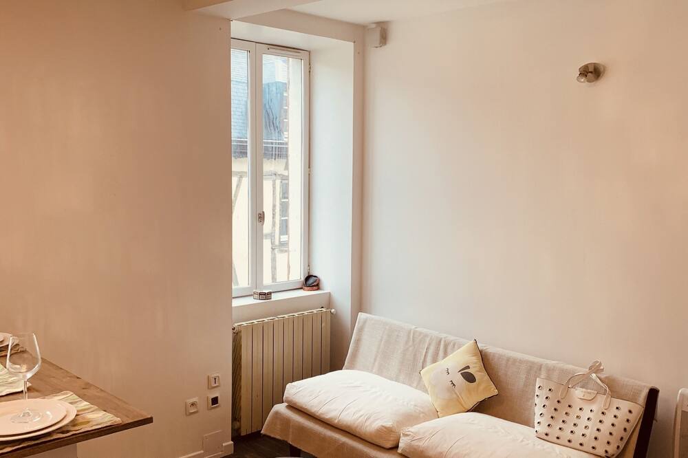 Photo of Livingroom in Vierzon