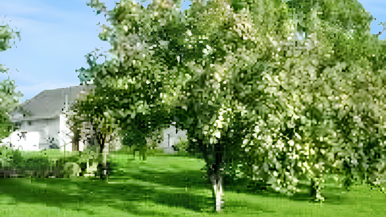 Photo of Outdoor in Gavray