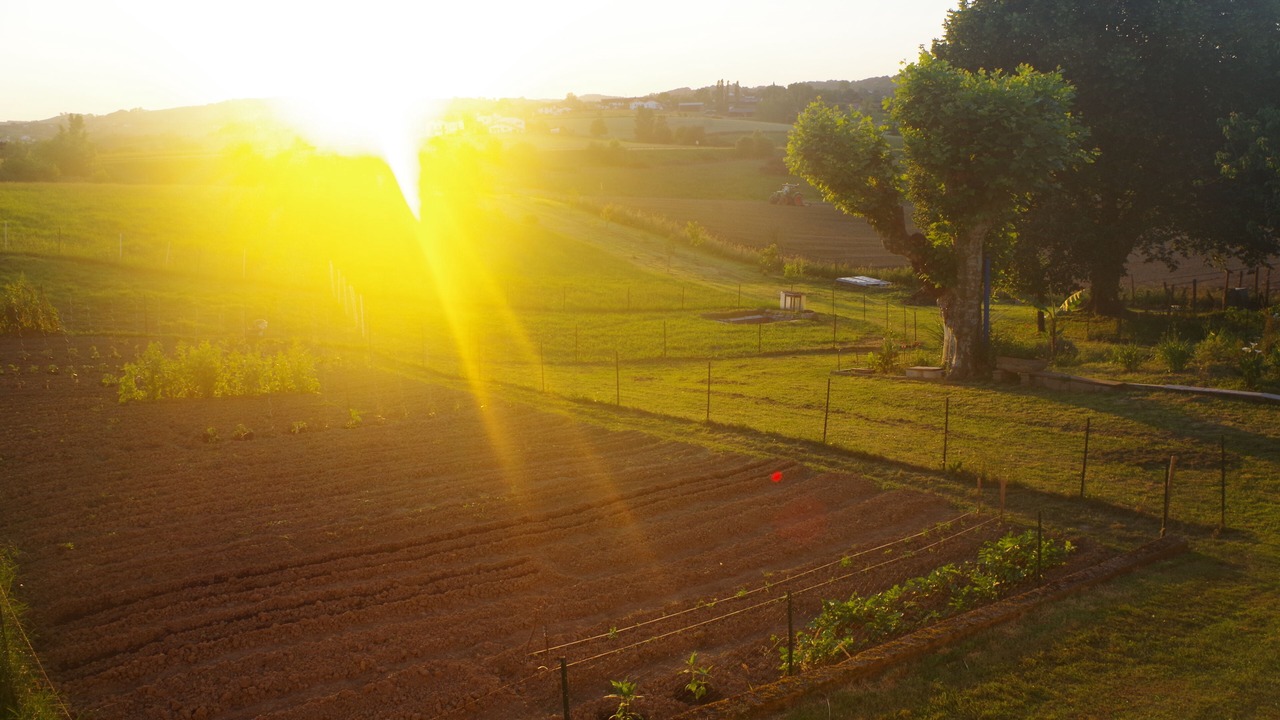 Photo of Bedroom in Masparraute