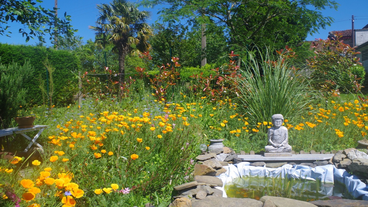 Photo of Outdoor in Masparraute