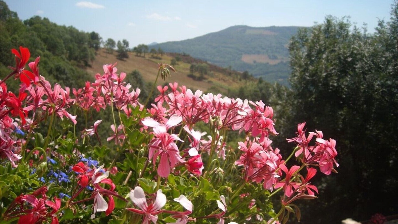 Photo of Outdoor in Prats-de-Mollo-la-Preste