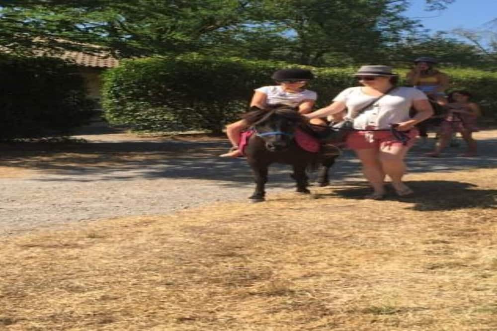 Photo of Others in Lezan