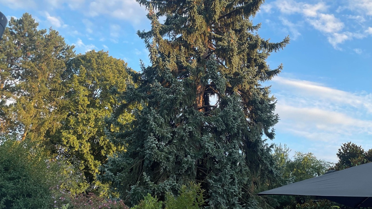 Photo of Outdoor in Goupillieres