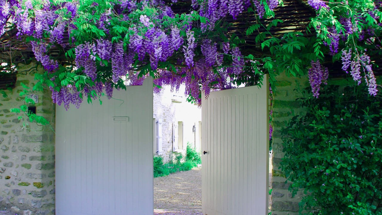 Photo of Outdoor in Goupillieres