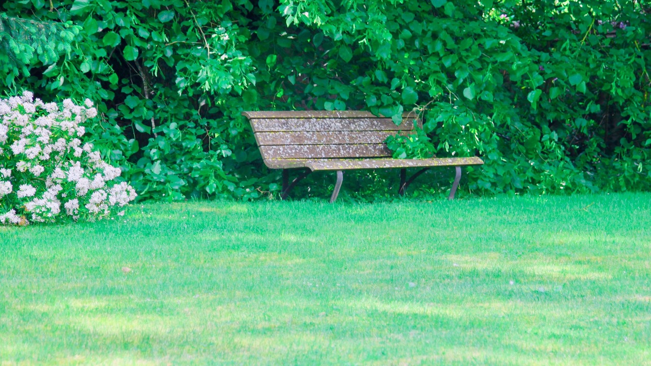 Photo of Outdoor in Goupillieres