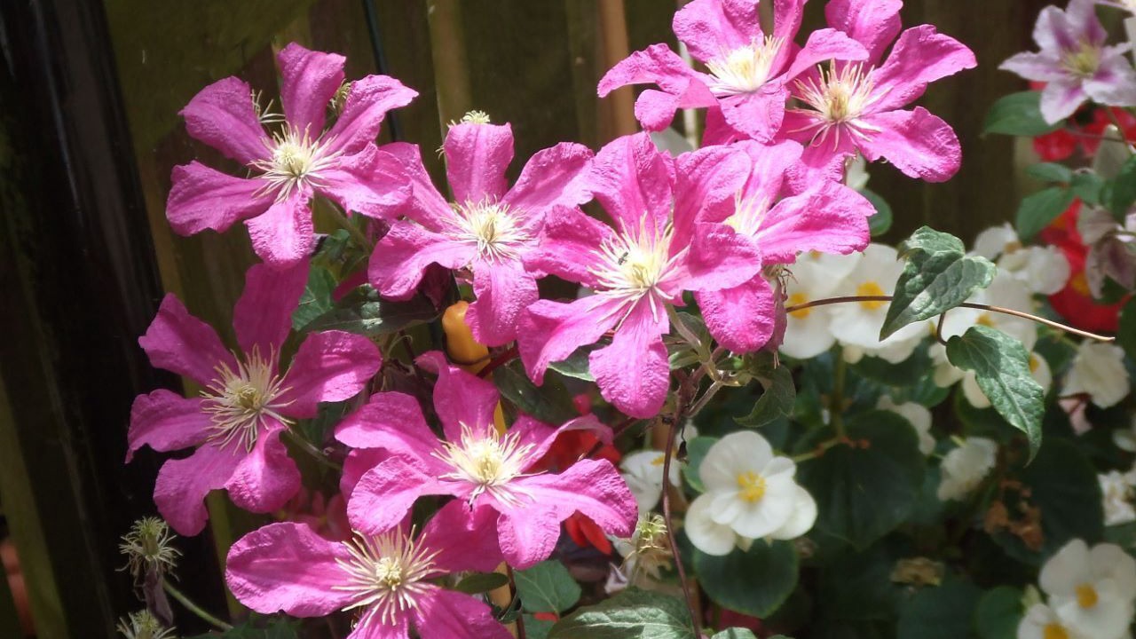Photo of Bathroom in Winchester
