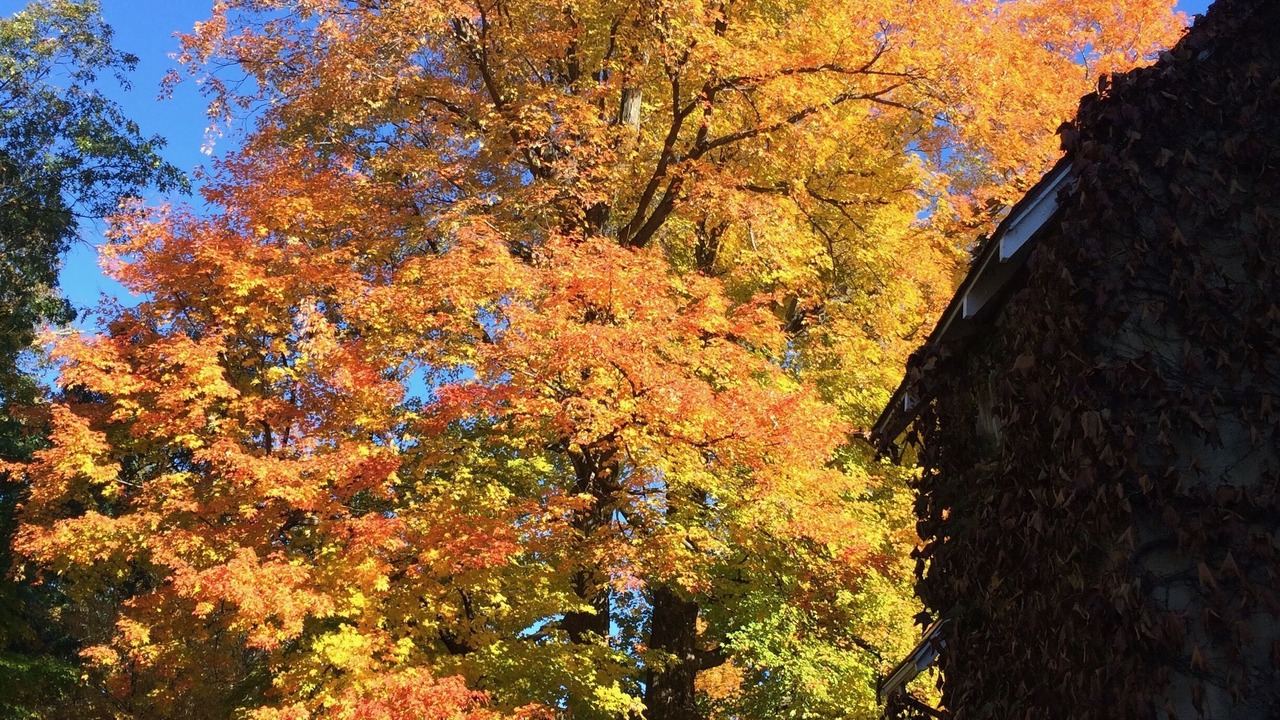 Photo of Outdoor in Fitchburg