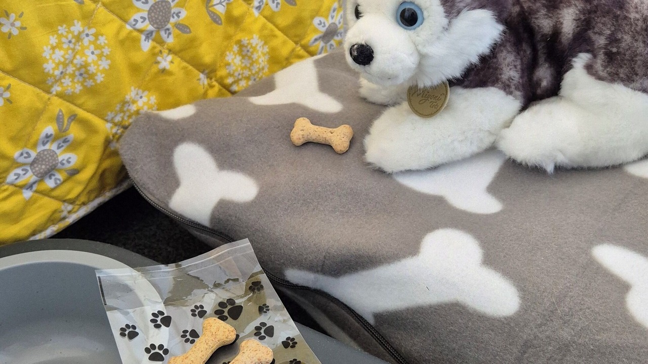 Photo of Others in Barrow upon Humber