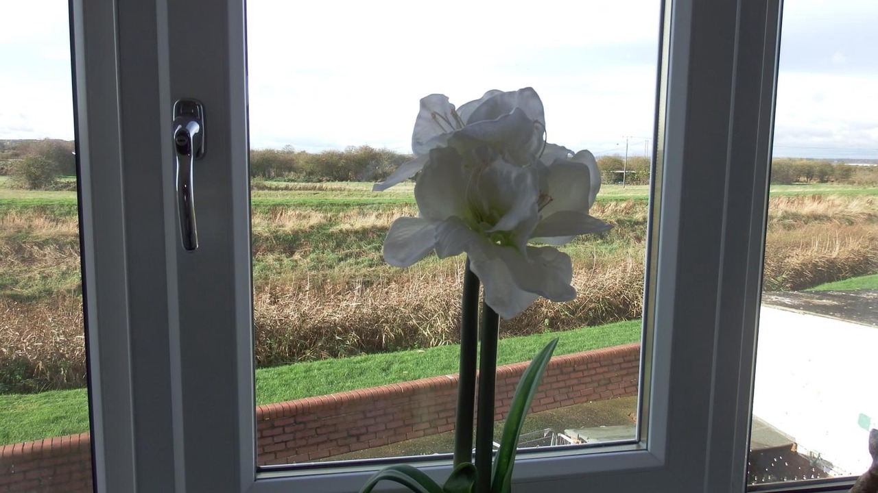 Photo of Bedroom in Barrow upon Humber