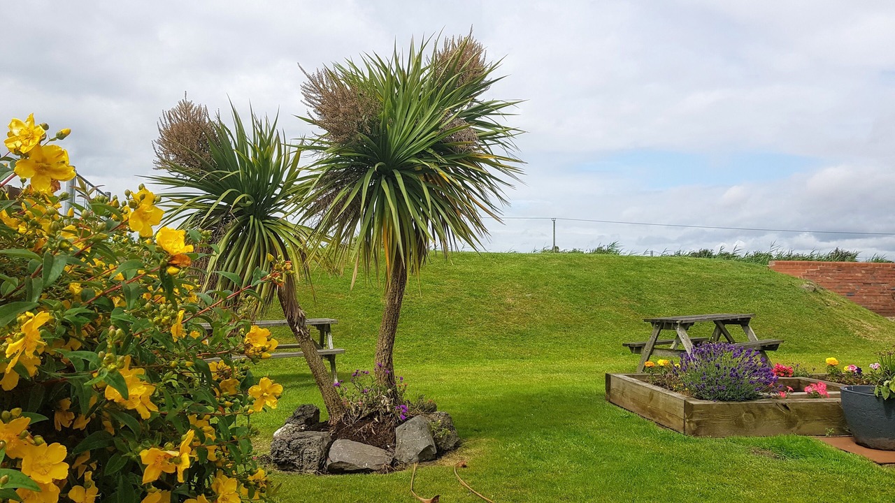 Photo of Outdoor in Barrow upon Humber