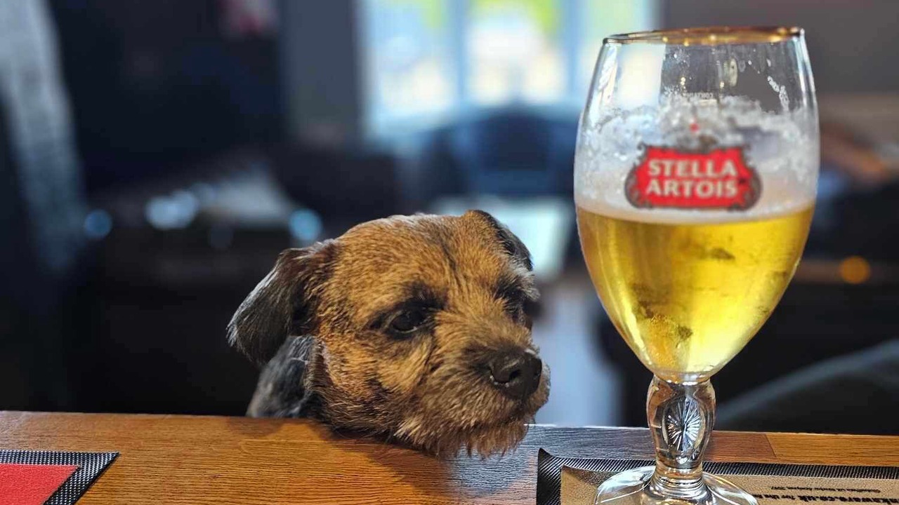 Photo of Others in Barrow upon Humber