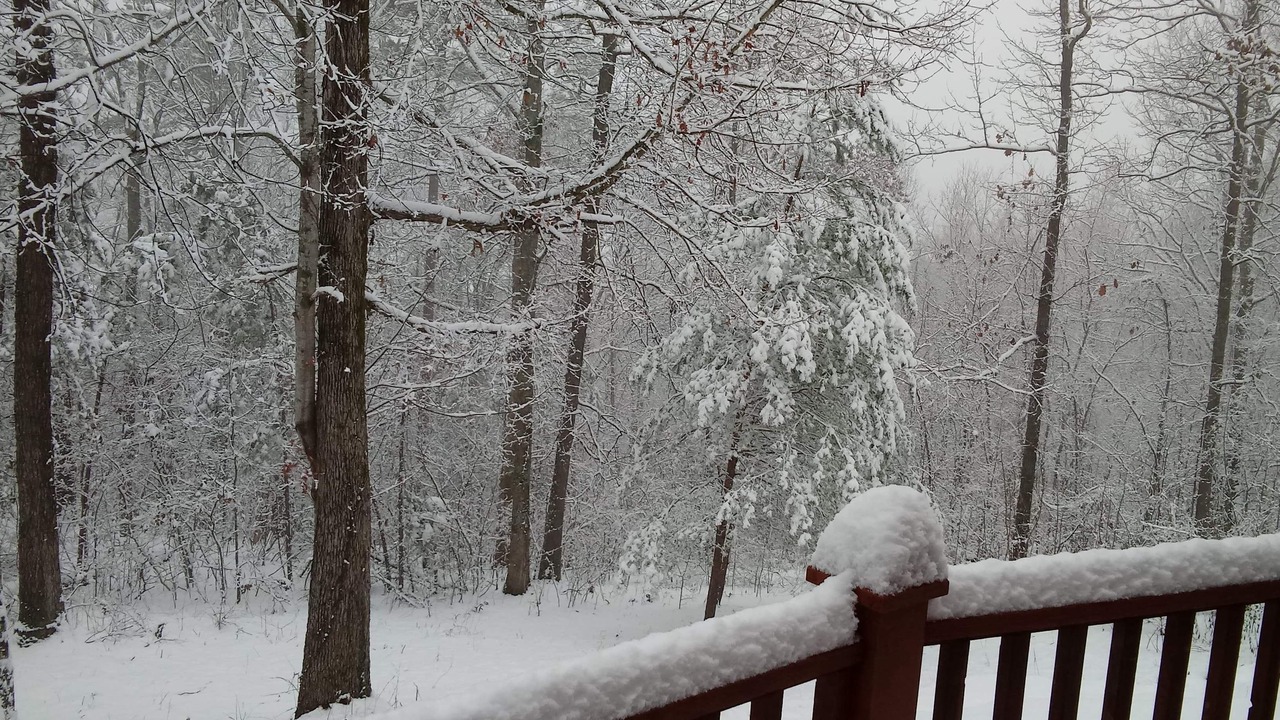 Photo of Outdoor in Marion County
