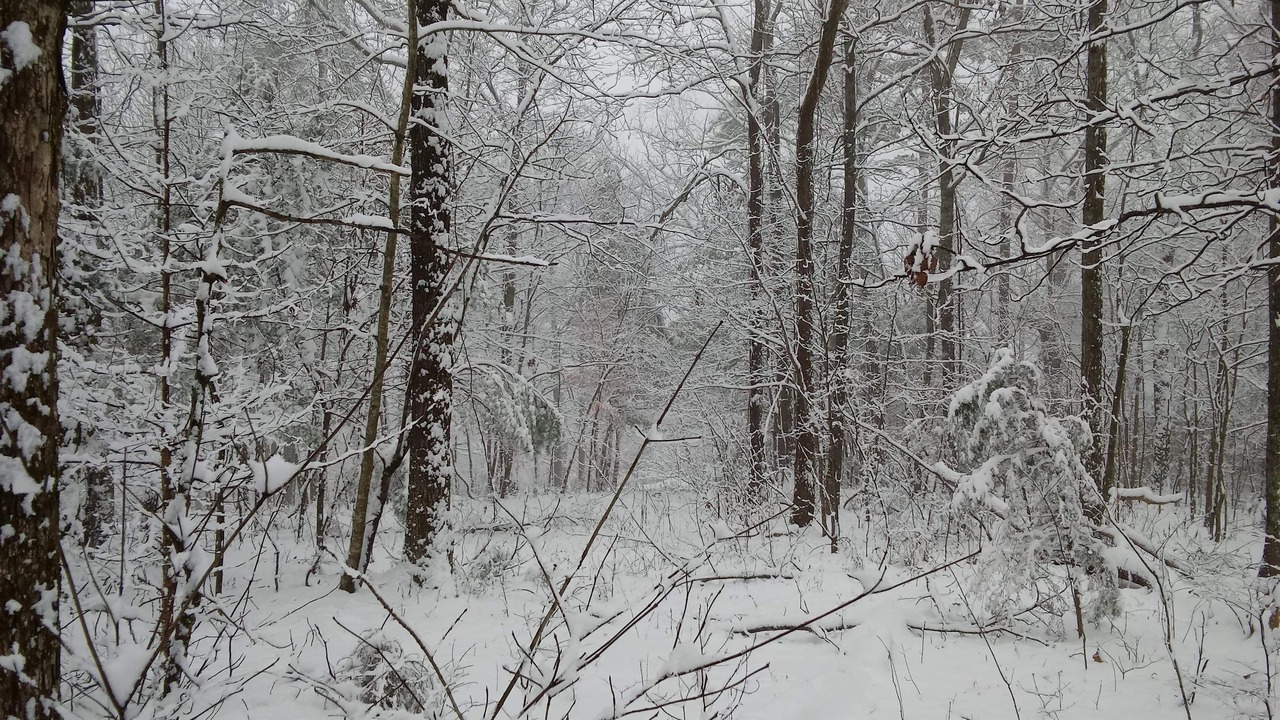 Photo of Outdoor in Marion County