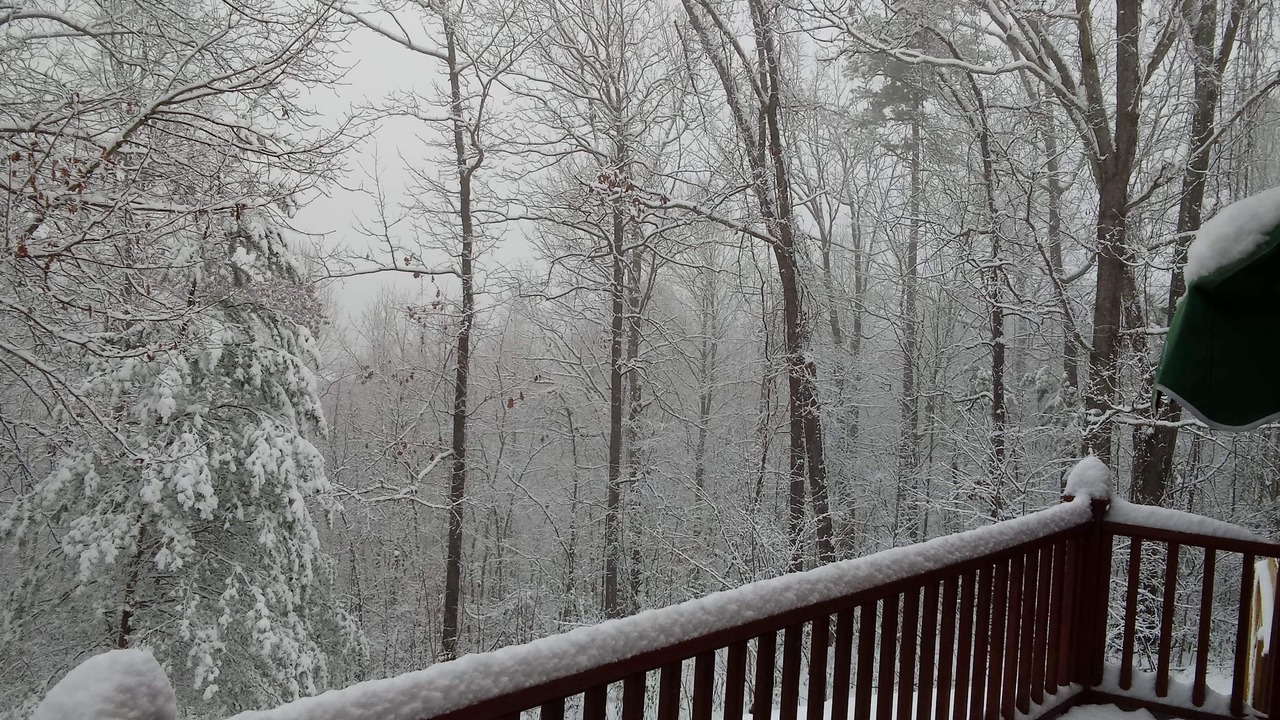 Photo of Outdoor in Marion County
