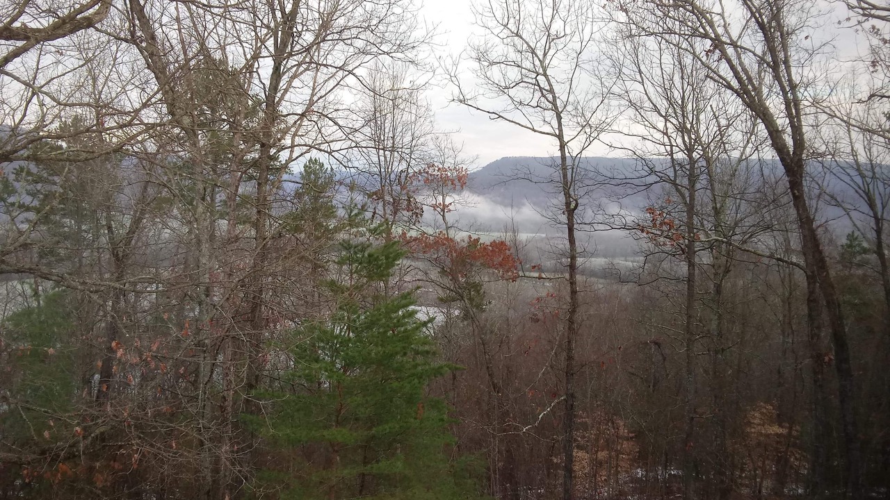 Photo of Outdoor in Marion County