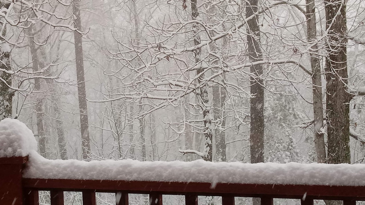 Photo of Others in Marion County