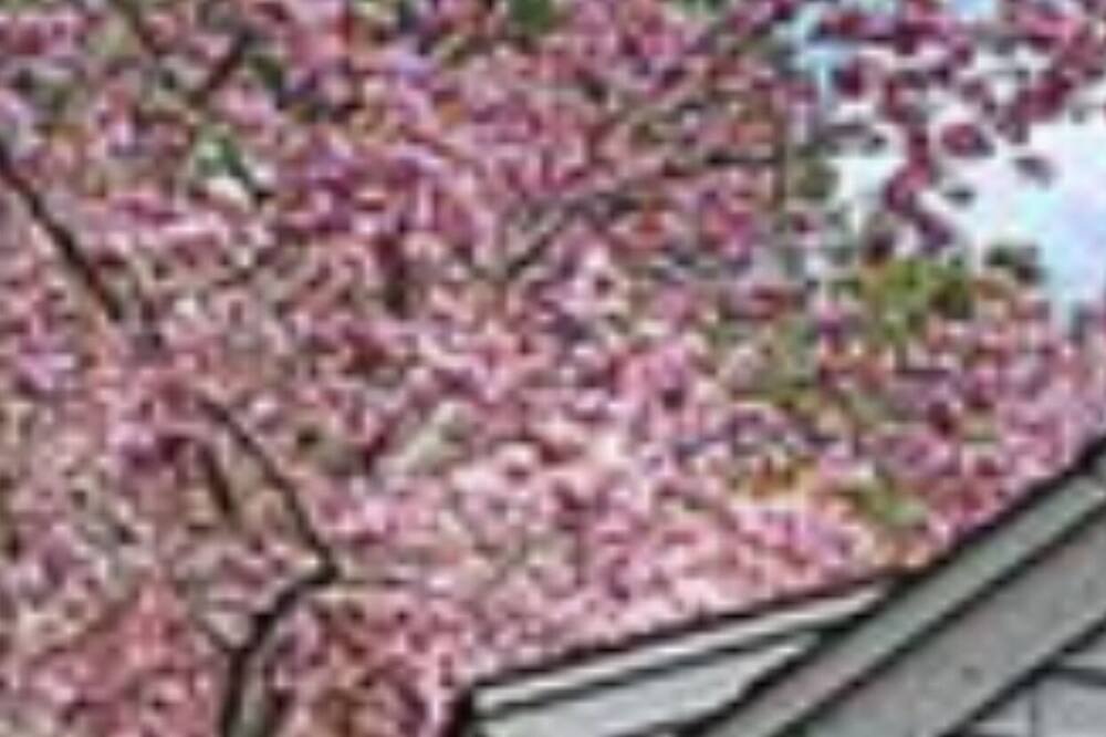 Photo of Others in Mews Village