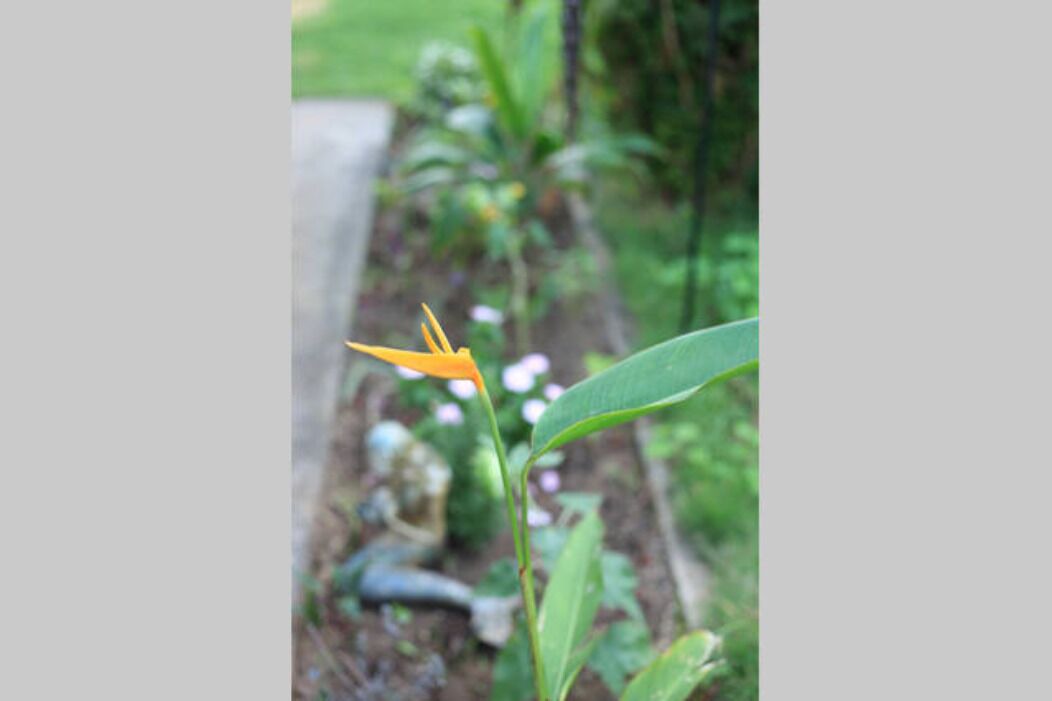 Photo of Others in Coconut Grove