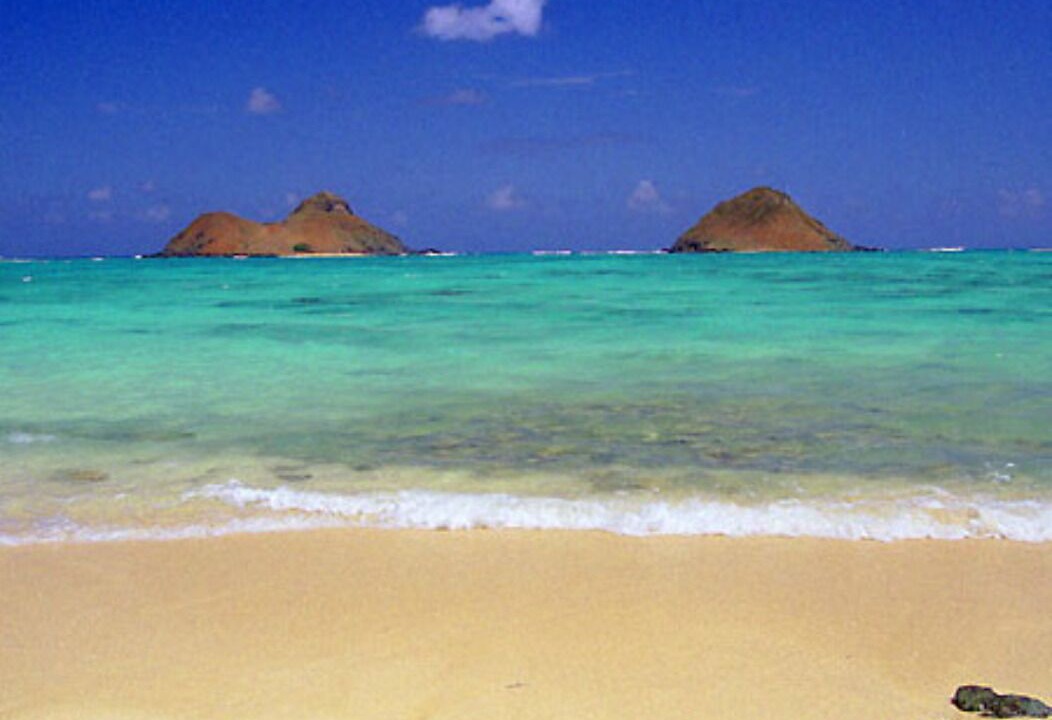 Photo of Others in Coconut Grove