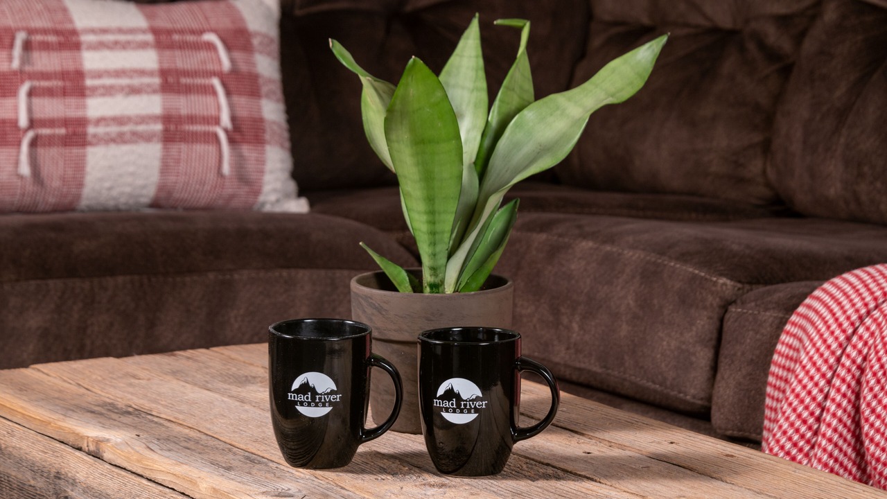 Photo of Others in Waitsfield